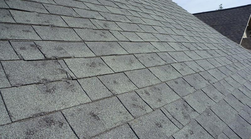Insurance claim roof inspection